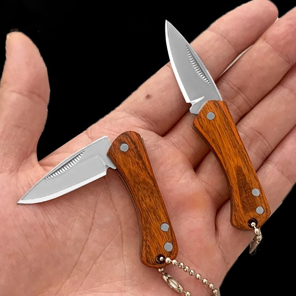Edc Day Carry - Klein sleutelhangerzakmes Elke dag draagt voor
