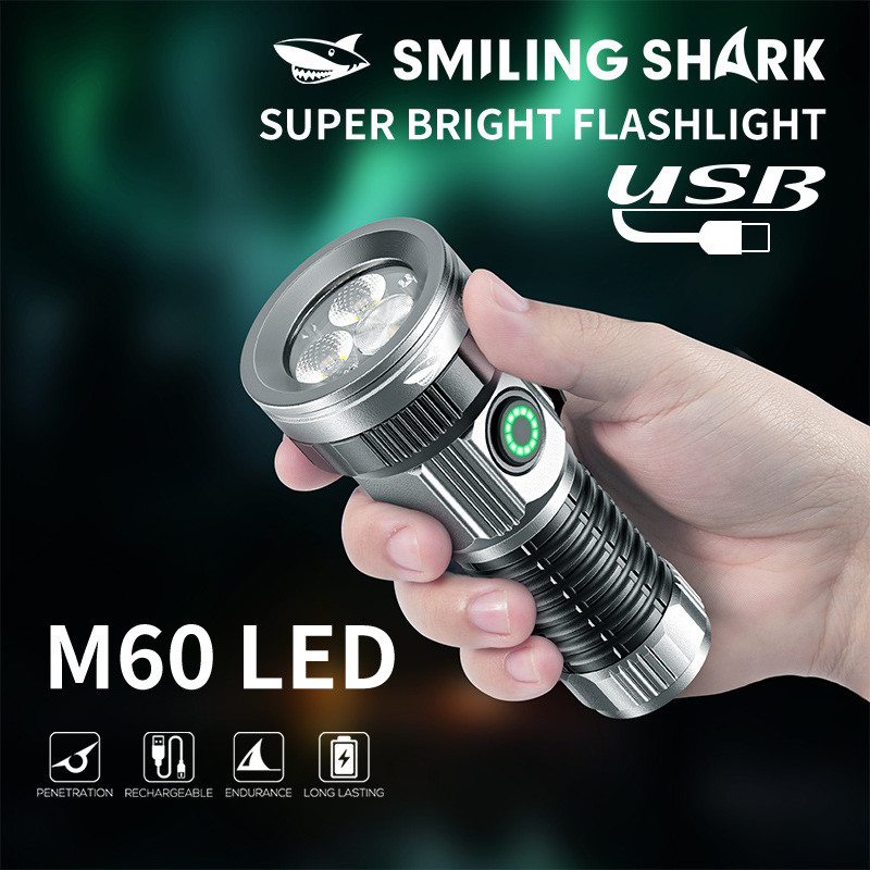 Kleine LED Zaklamp USB C Oplaa - Edc Day Carry recensie en prijs